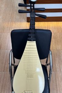 Đàn Tỳ Bà - Đạo Cụ Chụp Ảnh Siêu Đẹp