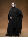 Đồ Giáo Sư Snape - Harry Potter