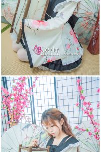 Waloli Trắng Vàng Nhạt