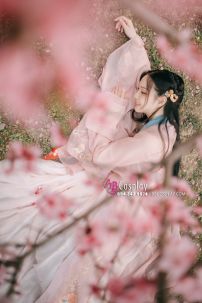 Cổ Trang Chiết Ngực Hồng Nguyệt Nhi