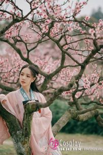 Cổ Trang Chiết Ngực Hồng Nguyệt Nhi