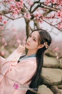 Cổ Trang Chiết Ngực Hồng Nguyệt Nhi