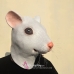 Mặt Nạ Con Chuột