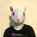 Mặt Nạ Con Chuột