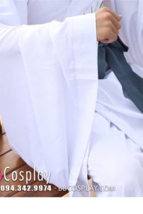 Hán Phục Nam Liễu Truy