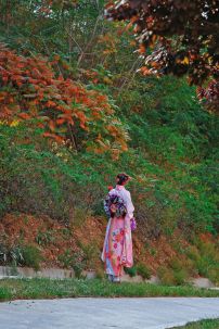 Kimono Truyền Thống Chuấn Nhật Màu Hồng