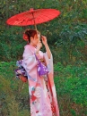 Kimono Truyền Thống Chuấn Nhật Màu Hồng
