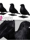 Chim Giả - Chim Quạ Đen Bằng Lông Thật