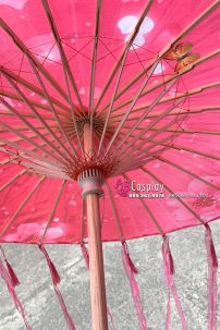 Dù Vải Cổ Trang Hoa Đào Đỏ Trắng (14)