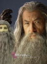 Bộ Râu Tóc Phù Thủy Gandalf - Chúa Tể Những Chiếc Nhẫn