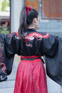 Hán Phục Long Chức