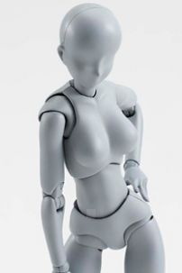 Mô Hình SHF Body Chan DX Set Ver Gray