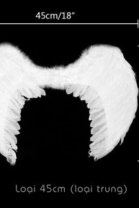 Cánh Thiên Thần Đen Lông Ngỗng 100Cm Và 80Cm