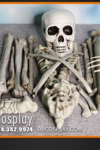 Bộ Xương Người Mô Hình Rời Tỷ Lệ Thật - Bộ Xương Rời Trang Trí Halloween