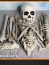 Bộ Xương Người Mô Hình Rời Tỷ Lệ Thật - Bộ Xương Rời Trang Trí Halloween