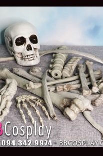 Bộ Xương Người Mô Hình Rời Tỷ Lệ Thật - Bộ Xương Rời Trang Trí Halloween