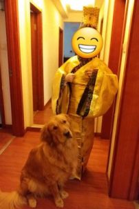 Trang Phục Hoàng Thượng Giá Rẻ Màu Vàng Viền Đen