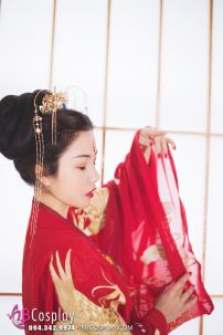 Hán Phục Thiên Điểu Thần Cơ