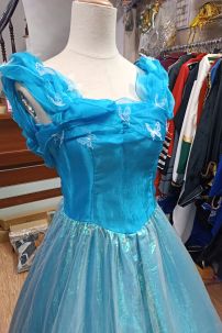 Đồ Công Chúa Lọ Lem - Vải Xà Cừ