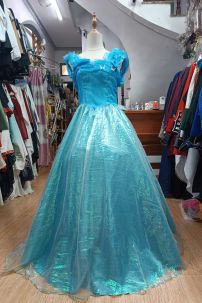 Đồ Công Chúa Lọ Lem - Vải Xà Cừ