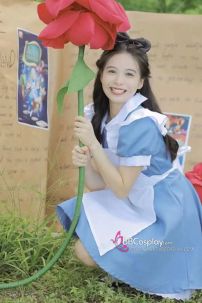 Đồ Alice Ở Xứ Sở Thần Tiên - Alice In Wonderland