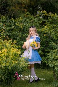 Đồ Alice Ở Xứ Sở Thần Tiên - Alice In Wonderland