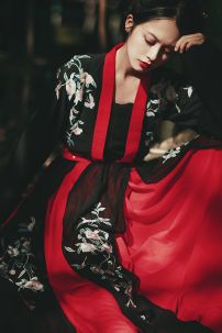 Hán Phục Kiếm Hiệp Nữ Ngự Tỷ