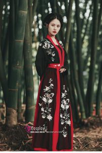 Hán Phục Kiếm Hiệp Nữ Ngự Tỷ