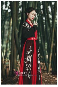 Hán Phục Kiếm Hiệp Nữ Ngự Tỷ