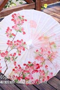 Dù Vải Cổ Trang Hoa Phượng Đỏ Nền Trắng