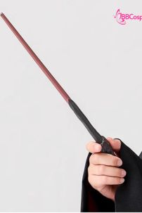 Đồ Phù Thuỷ Trường Hogwarts - Harry Potter Trẻ Em