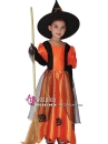 Trang Phục Phù Thủy Halloween Trẻ Em