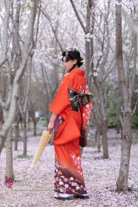 Yukata Chuẩn Nhật Đỏ (Kimono Mùa Hè Rực Rỡ)