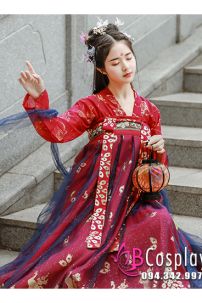 Hán Phục Ánh Hà Xích Dương