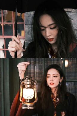 Áo Khoác Harry Potter Trường Hogwarts - Nhà Godric Gryffindor