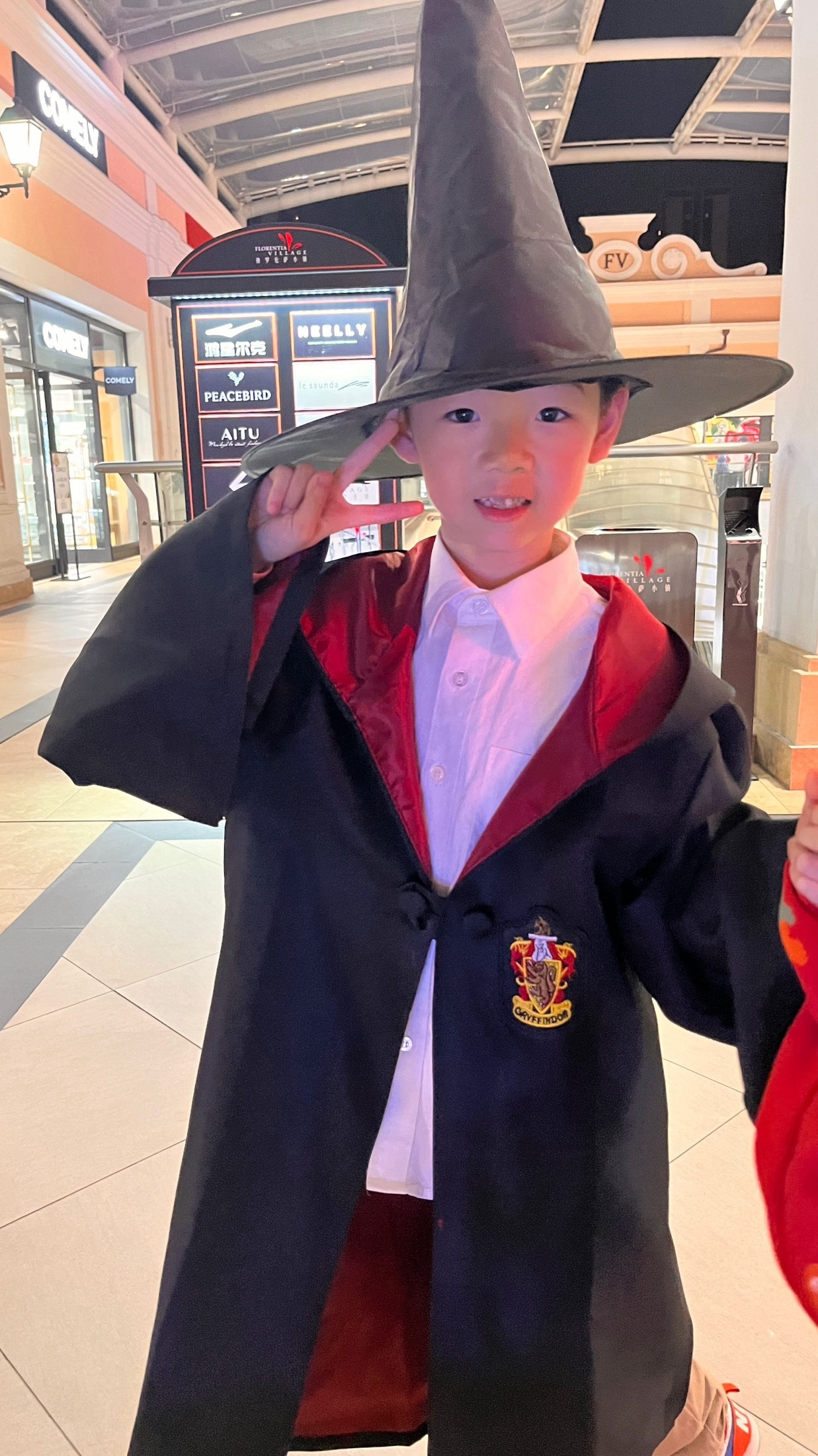 Áo Khoác Harry Potter Trường Hogwarts - Nhà Helga Hufflepuff