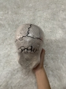 Mô Hình Hộp Sọ Người Tỷ Lệ Thật - Đầu Lâu Decor Halloween