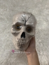 Mô Hình Hộp Sọ Người Tỷ Lệ Thật - Đầu Lâu Decor Halloween