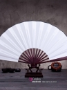 Quạt Giấy Trắng Trơn Cán Gỗ