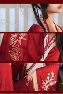 Hán Phục Cặp Đôi Song Long Hồng Môn Thêu Chính Hãng Váy 12M