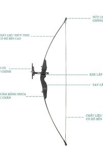 Cung Tên Thể Thao Phong Cách Hiện Đại (Cung Không Kèm Tên)