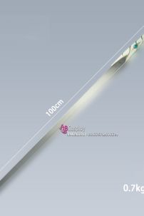 Kiếm Chu Tử Thư - Bạch Y Kiếm