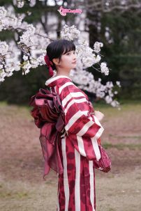 Yukata Kohaku Đỏ Sọc Trắng Vân Chìm Hoa Bách Hợp