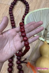 Bộ Phụ Kiện Tế Công Ăn Mày