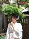 Yukata Xanh Sóng Biển Ngàn Hoa