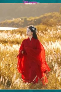 Trang Phục Cổ Trang Đỏ Hồng Y