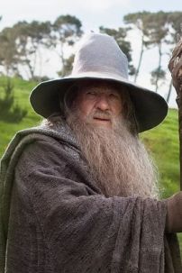 Đồ Pháp Sư Phù Thủy Hobbit Big Size