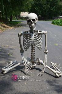 Mô Hình Bộ Xương Người Cao 170Cm  Dùng Trang Trí Halloween