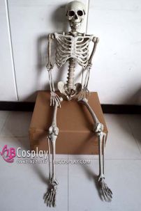 Mô Hình Bộ Xương Người Cao 170Cm  Dùng Trang Trí Halloween