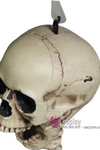 Mô Hình Bộ Xương Người Cao 170Cm  Dùng Trang Trí Halloween